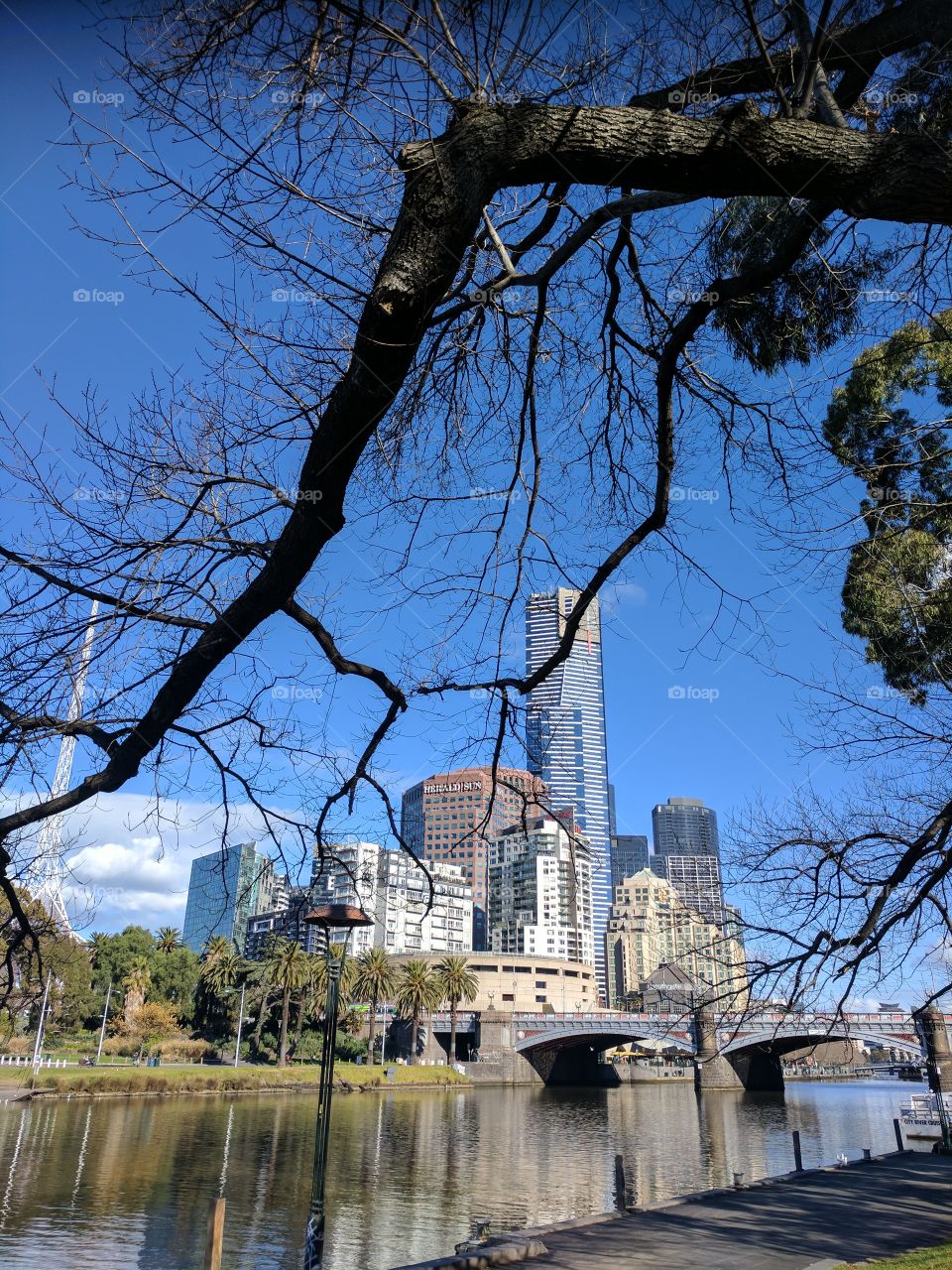 Beautiful day walking along the Yarra River in Melbourne
