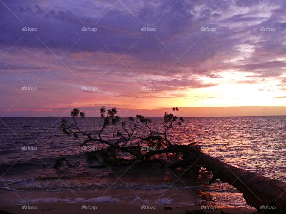 Like a glass of red wine, the Amethyst Sunset filled the sky, pure scattered light; its hue ambitiously illuminating each crevice of the sky