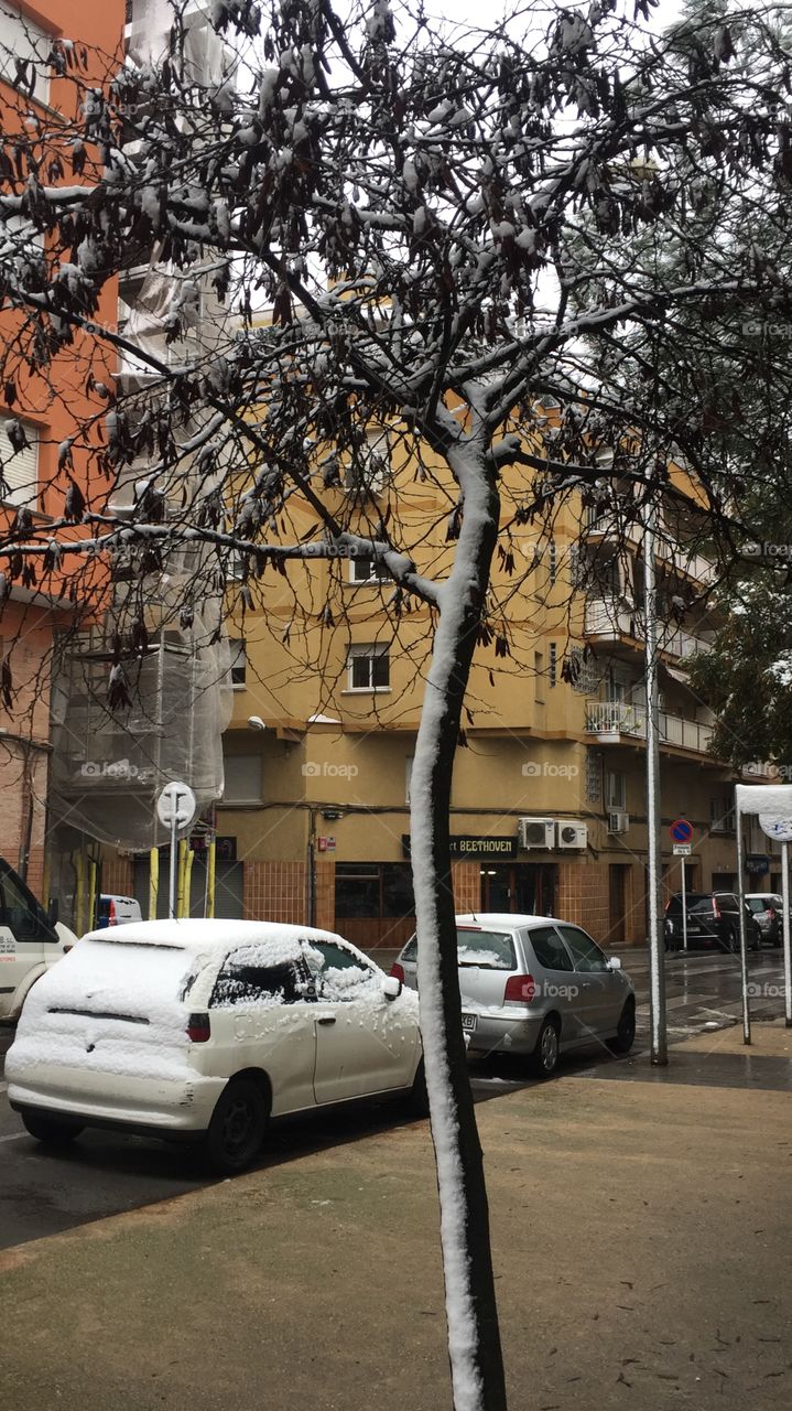 Amaneciendo con nieve, es realmente bonita. 