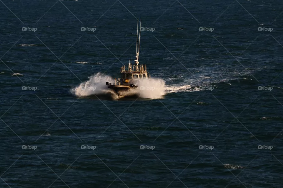 Pilot boat