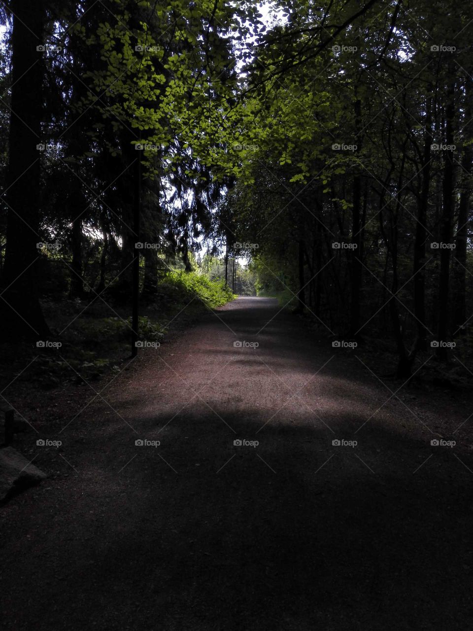 Ekebergparken, Oslo. Shot on a smartphone. 
Even though the path may be dark and scary, there's always light somewhere.