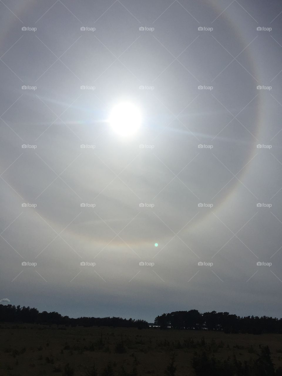 A halo I captured at Fårö in May ☀️