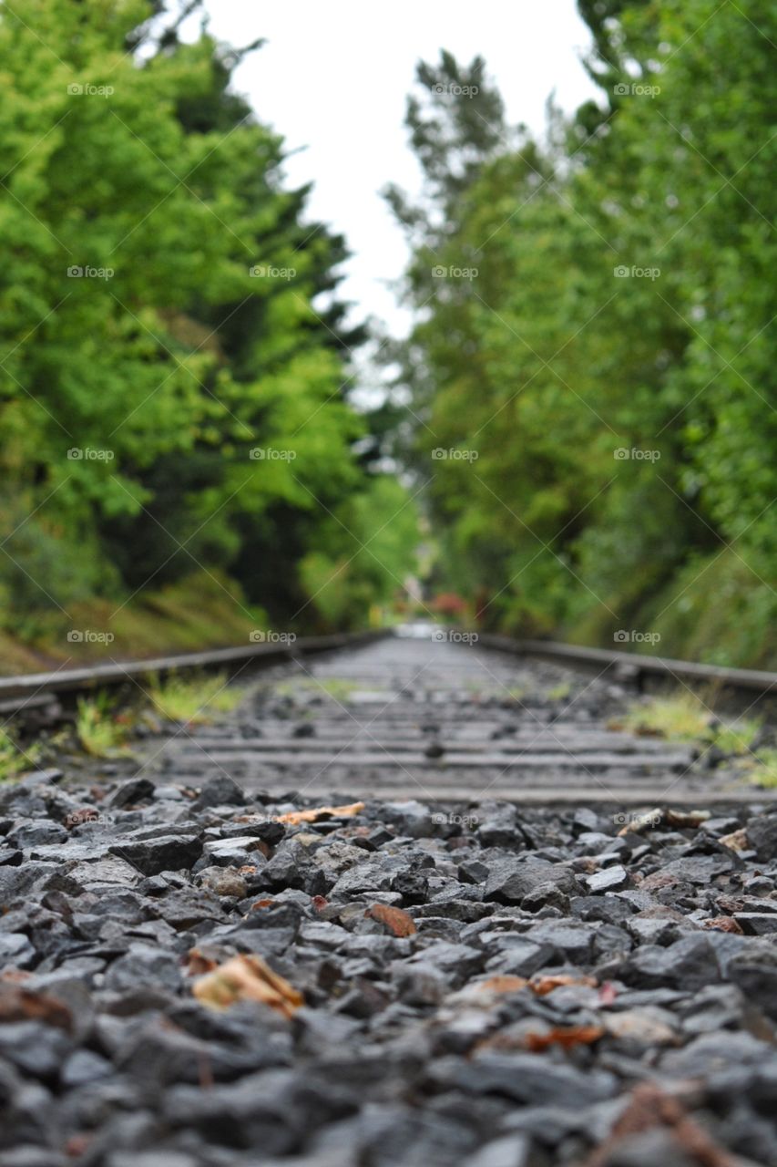 Train tracks in Oregon 