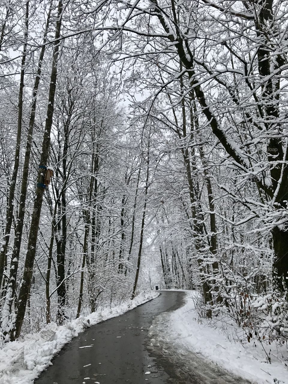 Winterlandscape in Germany 
