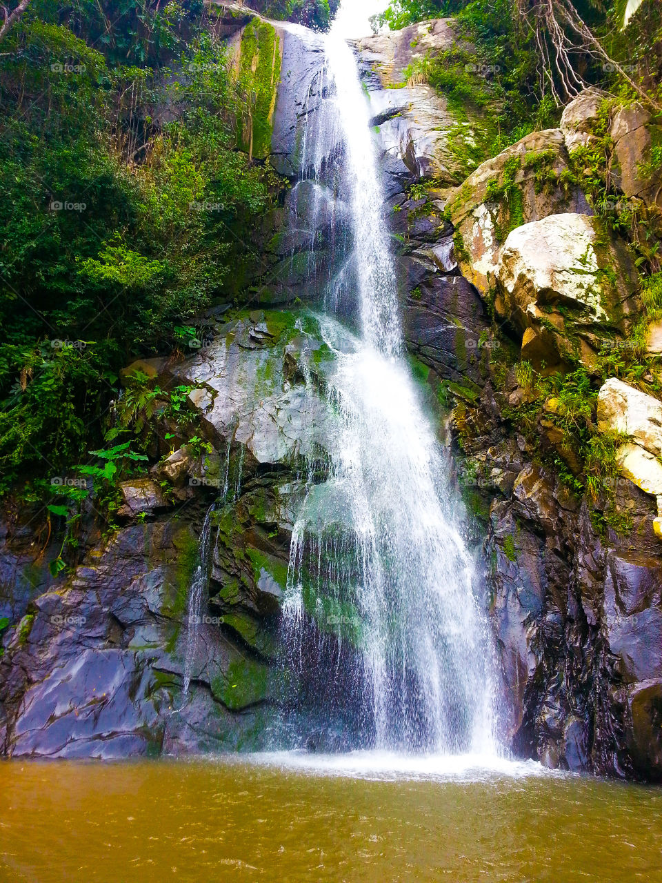 Yelapa Waterfall Jungle hike