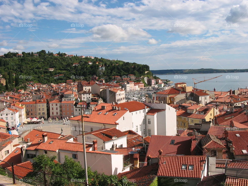 Piran Landscape (SLO)