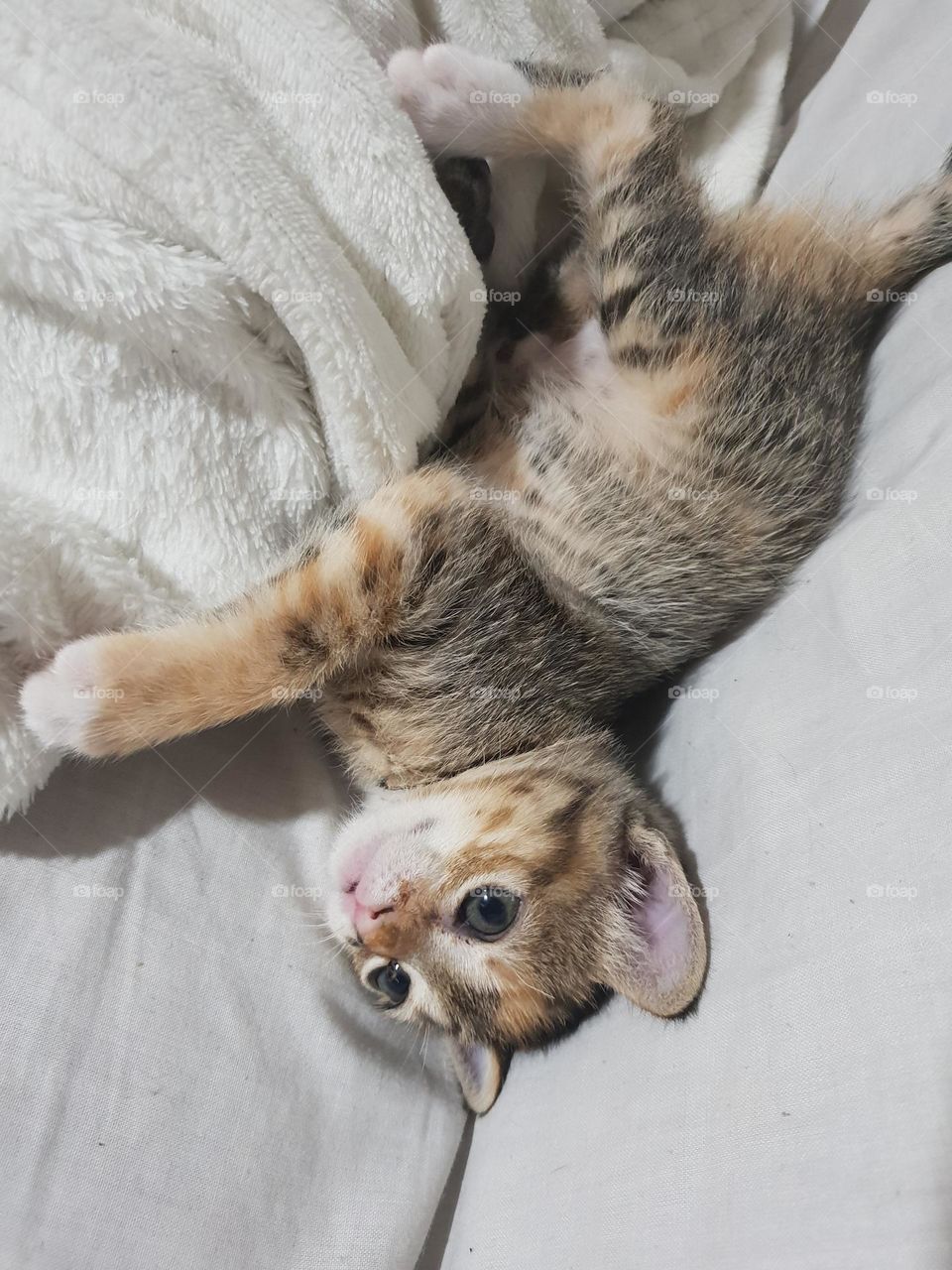 mi pequeña de bebé ❤️