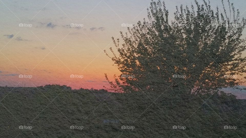 sunset - texture