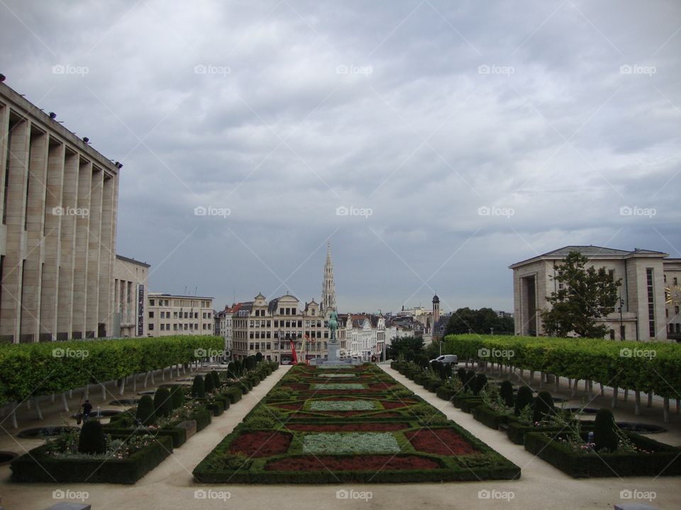 Garden in Bruxelles. 