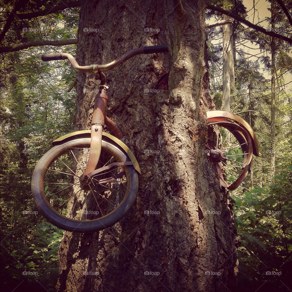 bicycle tree bike weird by elundeen