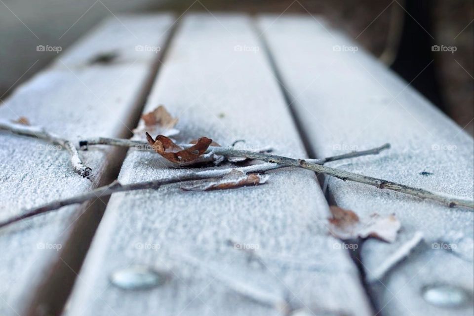 Frozen brown leaves and twigs lie on an icy bench