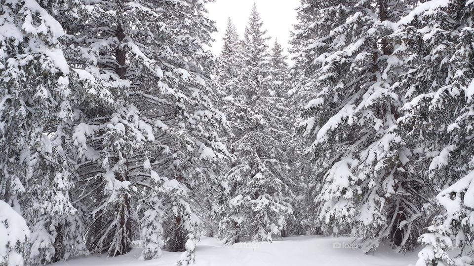 White Christmas mountain snow scene