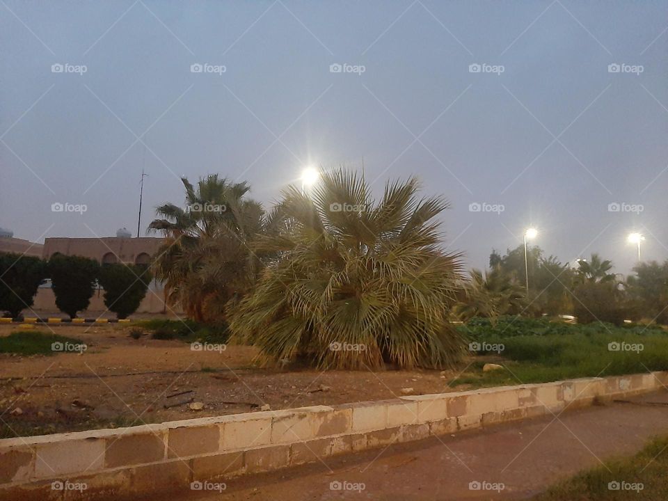 Please help me, I am very poor, I need your support and God is in need