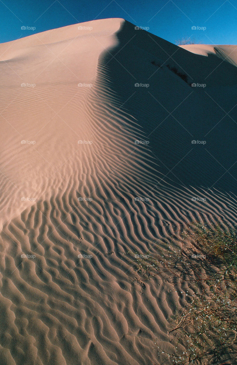 Sand dune in Arizona.