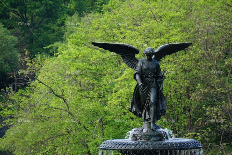The angel at Bethesda Fountain in Central Park, NYC