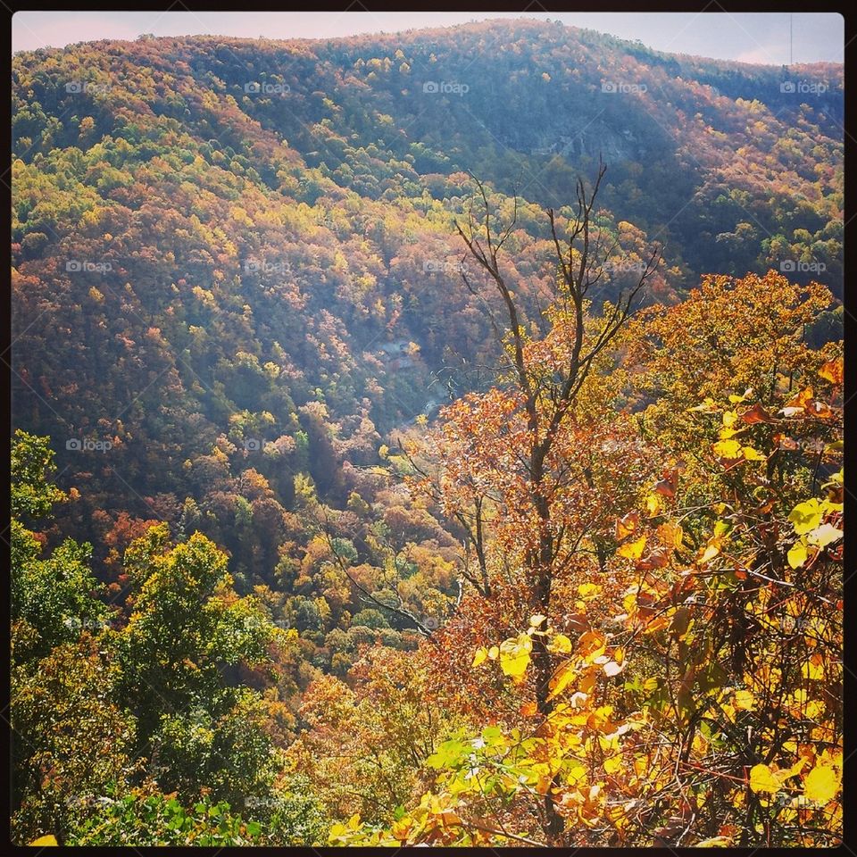 Rainbow Falls Trail