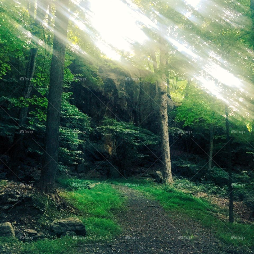 Running faster than the sunlight 😂