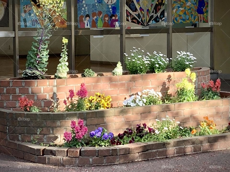 School flower bed