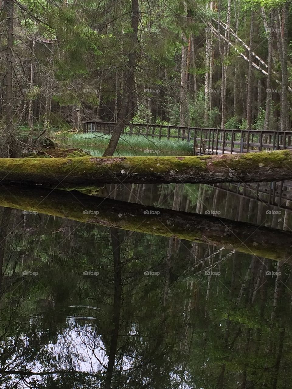 Ingbokällor Uppland Sweden