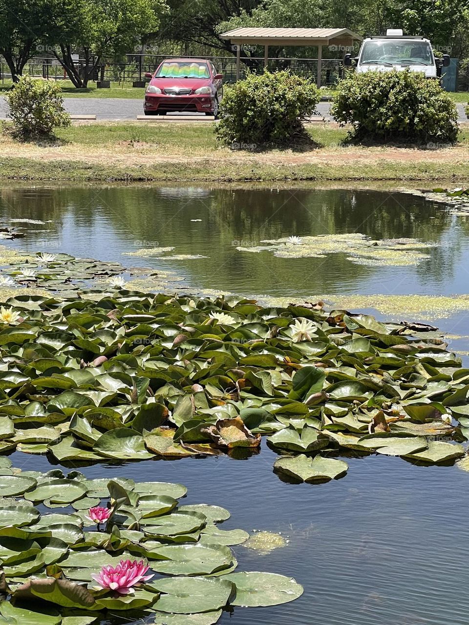 Combination of nature 