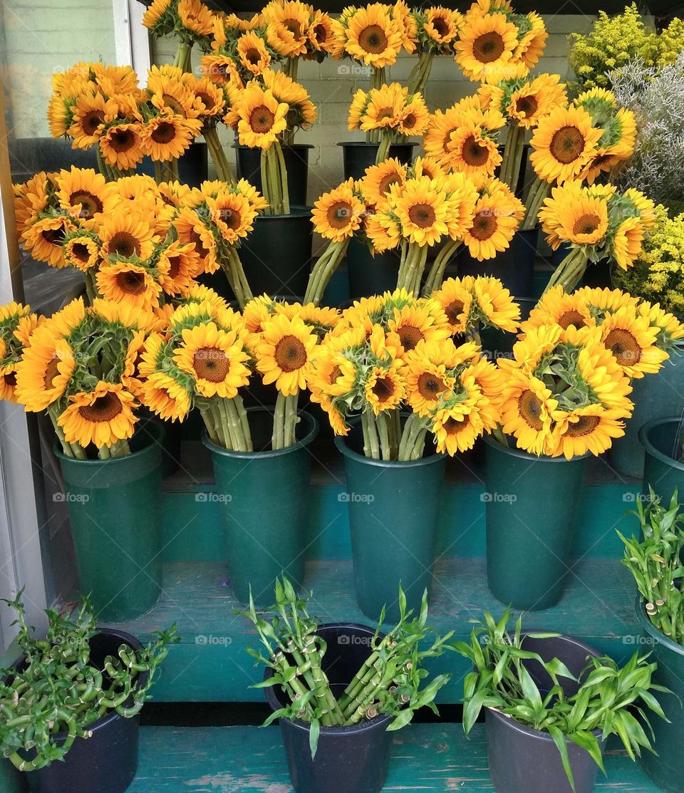 Sunflowers Corner Flower Shop