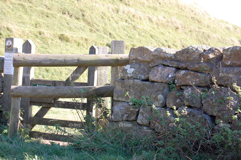 field wall grass rocks by JanineorJ