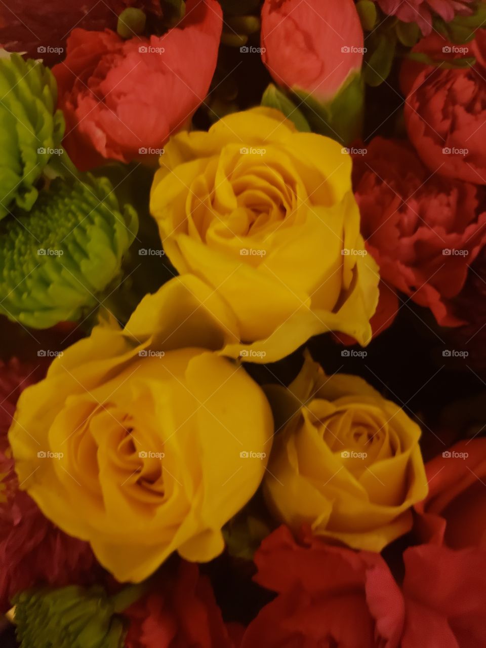 yellow birthday rose