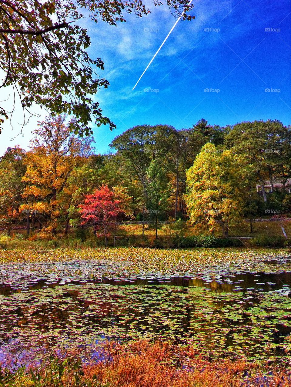 Putnam Pond, CT