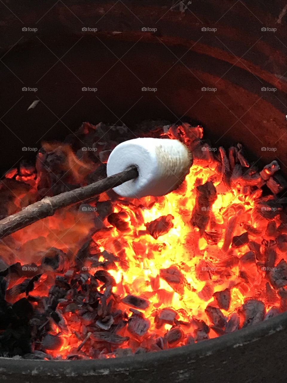 Toasting marshmallows over hot coals