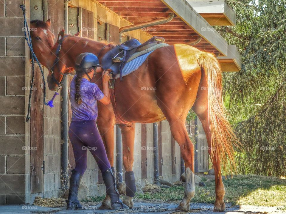 Girl With Her Horse. Young Girl Preparing To Ride Her Horse During The Golden Hour
