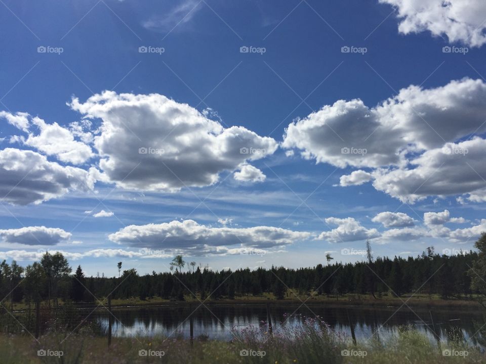 A nice snap shot of a small pond in BC.