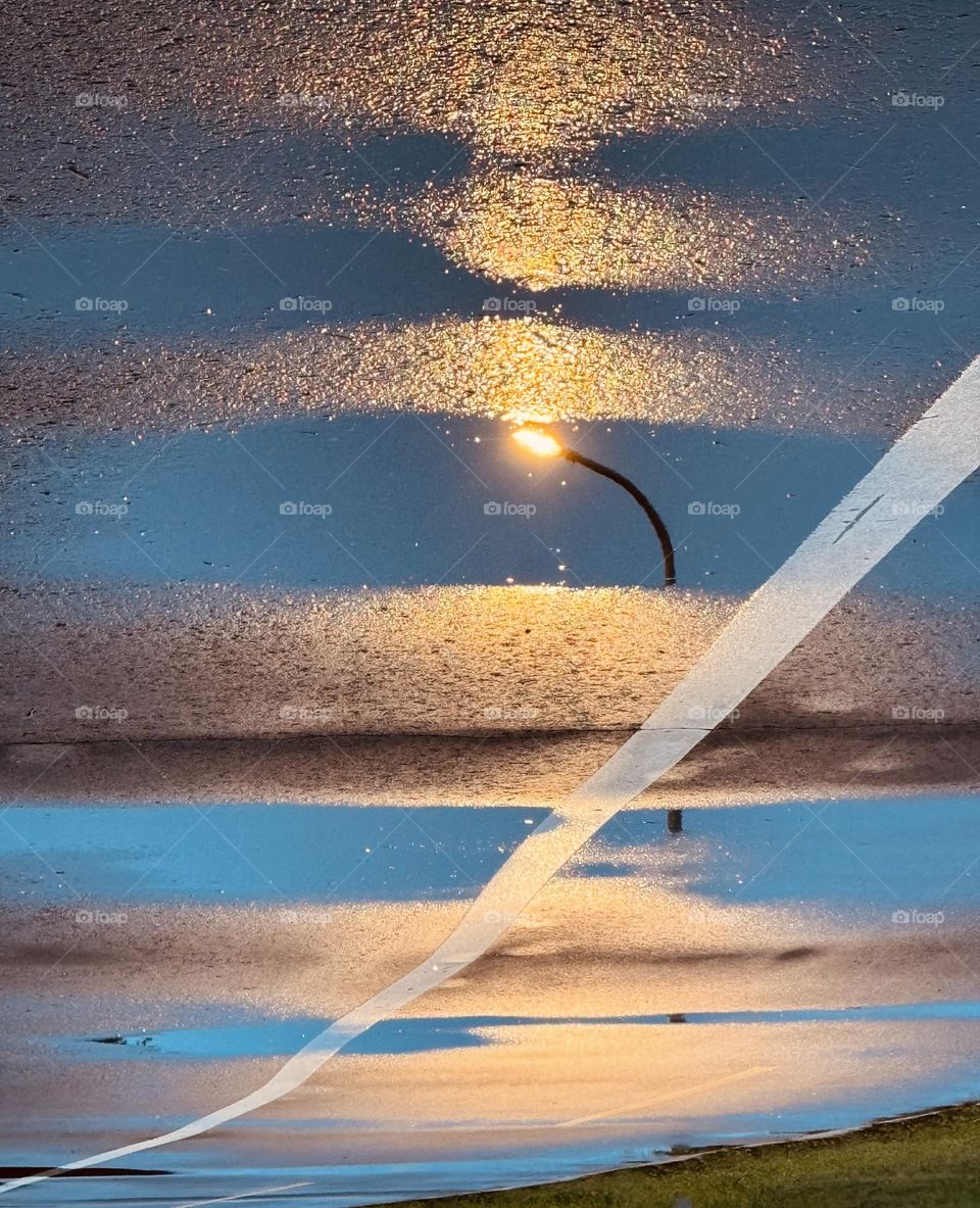 Reflections after rain