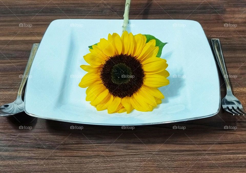 Your hand-cooked that you serve to your loved ones with love, its effects on their souls and psyches are like the beauty of   sunflower colour you can't get enough of seeing, refreshing in their existence and taking life energy from its kindness.