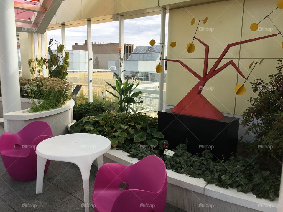 Up on the rooftop garden