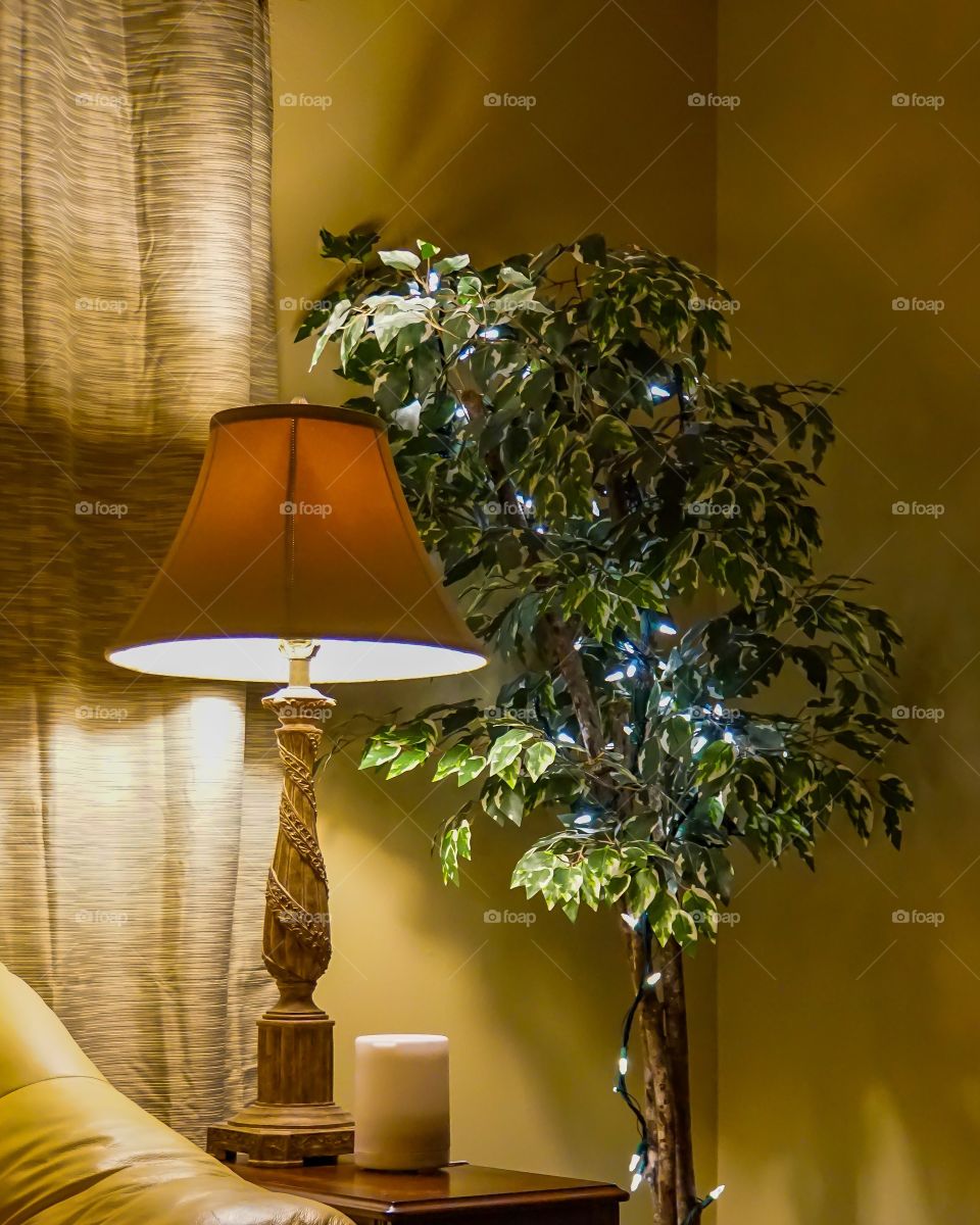 Lamp and lighted tree inside house 