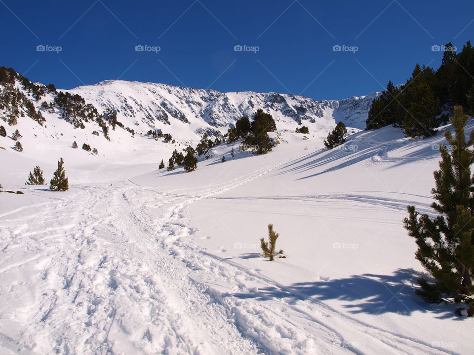 Sunny day at the snowy mountains 