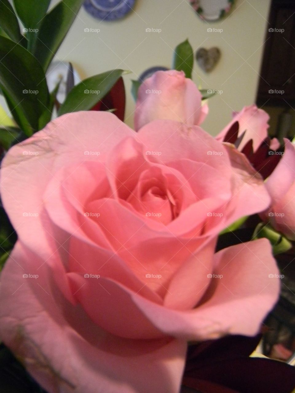 A pink rose for Mom