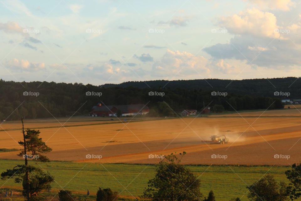 Harvesting