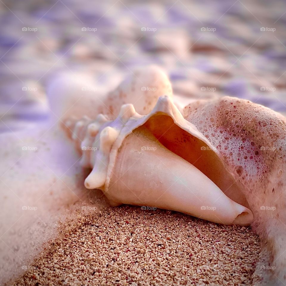 Waves hitting a seashell