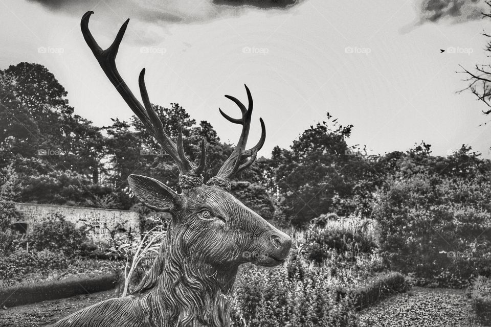 Stag. Statue of stag