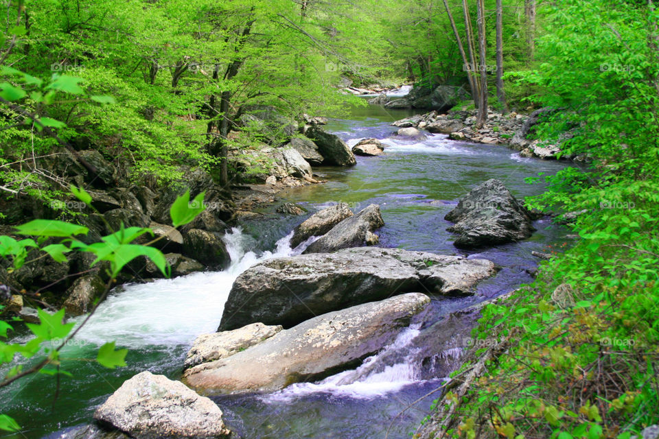 Stream in North Carolina
