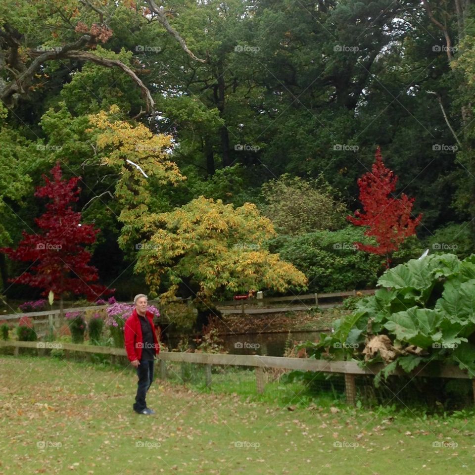 Autumn in full colour