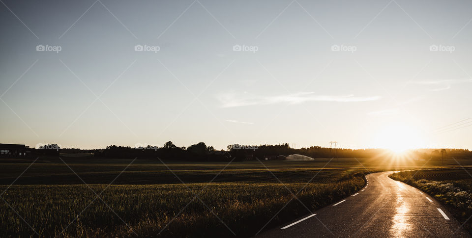 Sunny Road