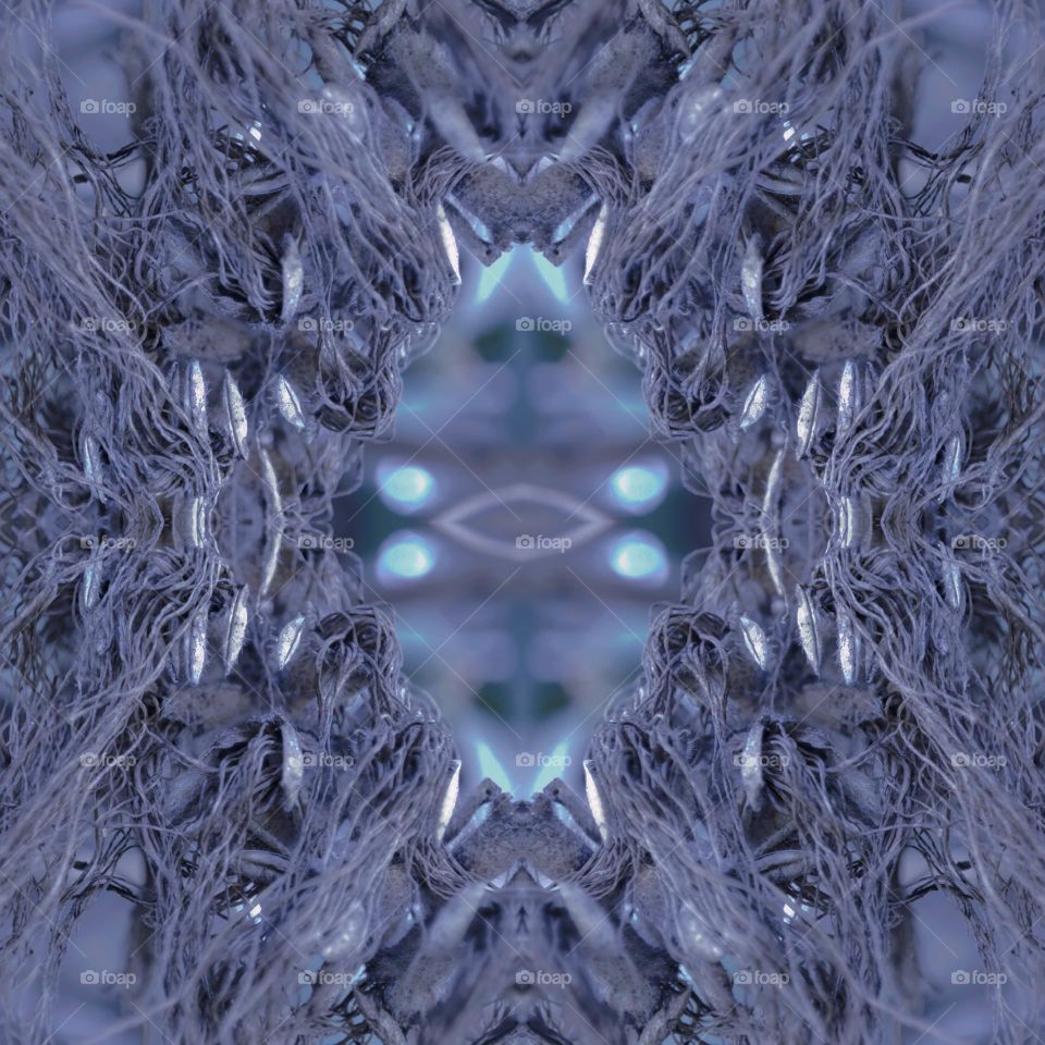 Art,mirrorr of dead seeds