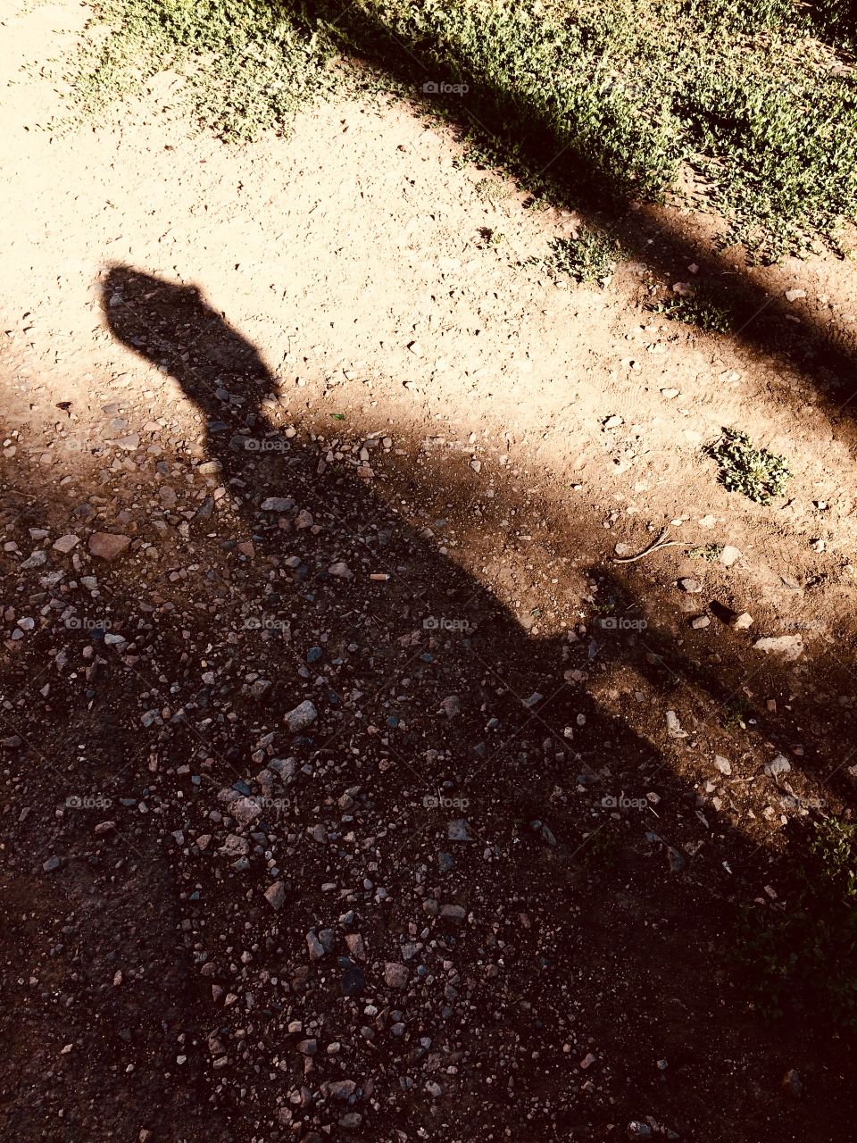 Shadow white black abstract man