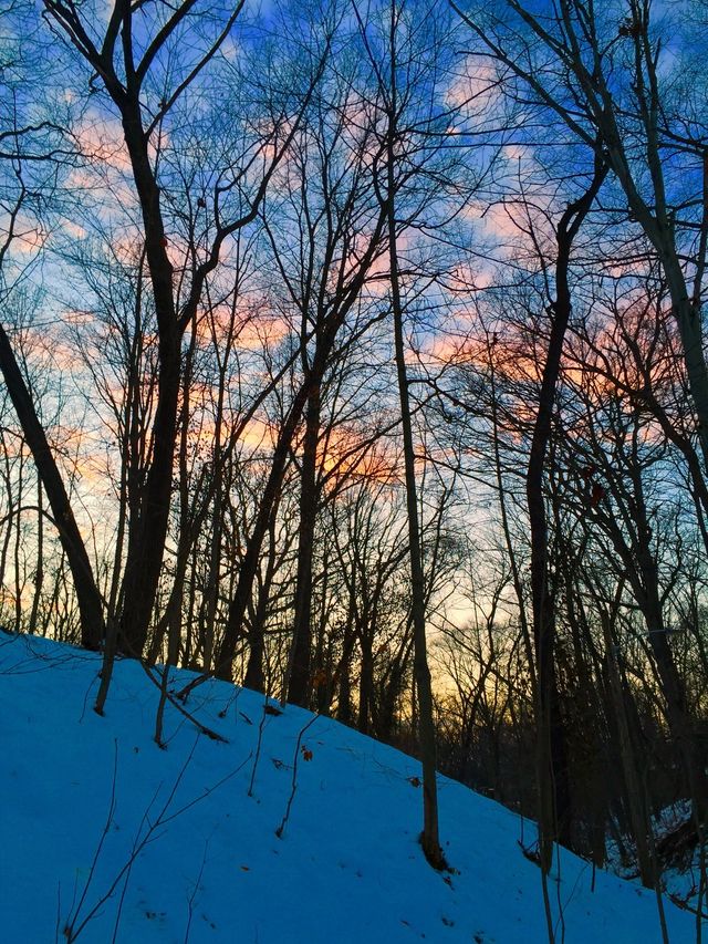 Winter Sunset