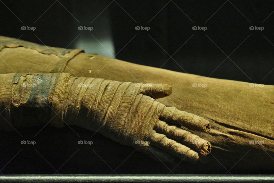 Mummy’s hand / Mão da múmia 