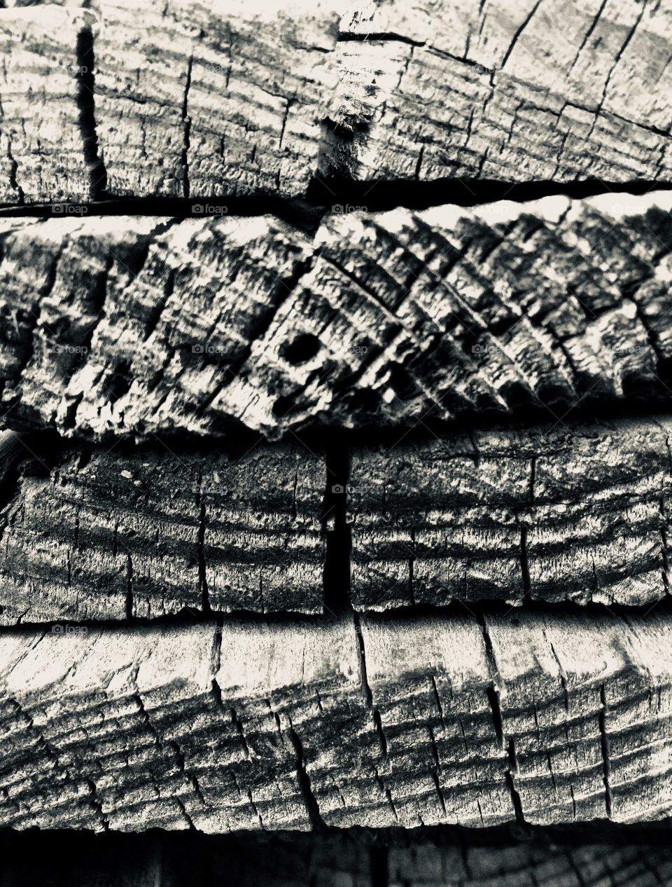 Black and White Wood Texture 
