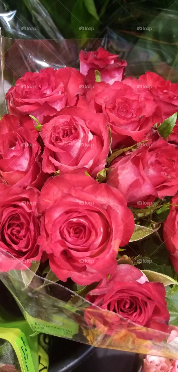 Blumen