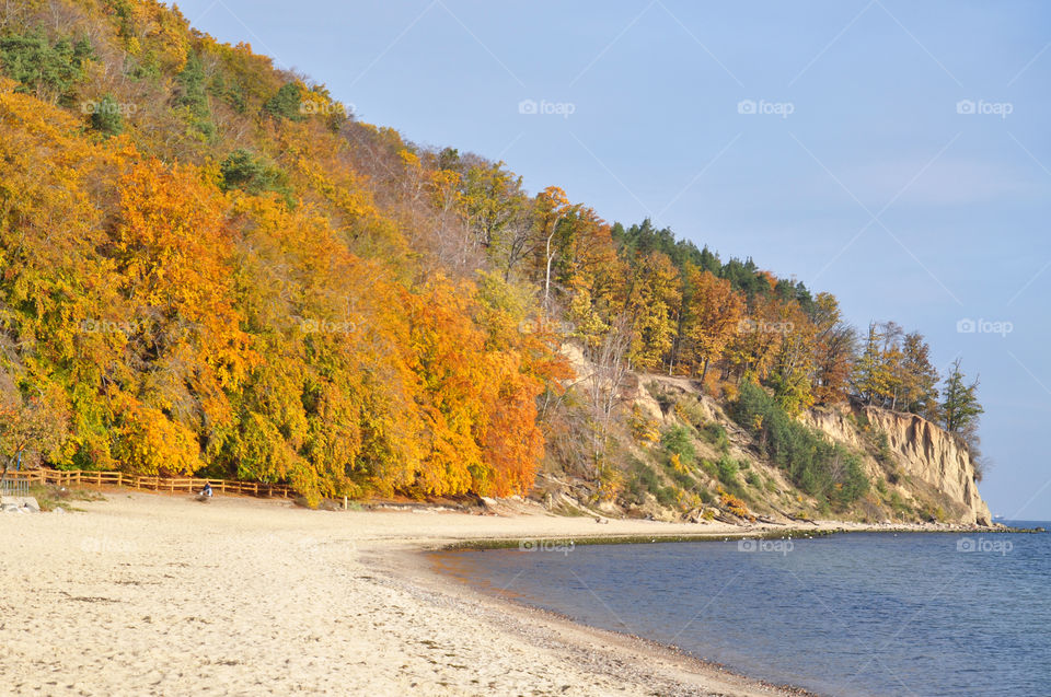 View of beach in autumn